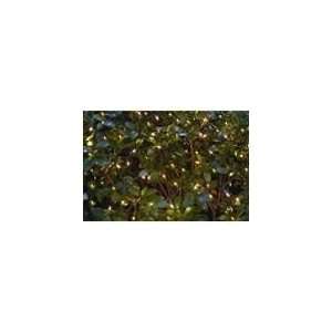  Essential Garden 100 Count Clear String Lights