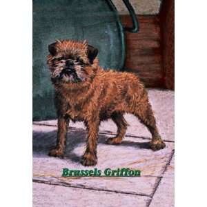    Typical Brussels Griffon Champion 20x30 poster