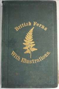   BRITISH FERNS WITH ILLUSTRATIONS BOTANY BOOK LANKESTER ANTIQUE BOOK