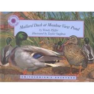  Mallard Duck at Meadow View Pond Story Book & Stuffed 