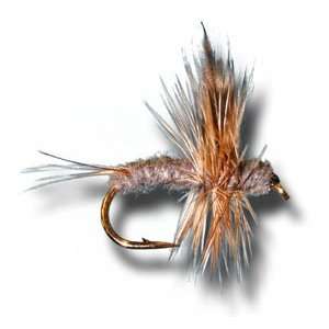  Thorax Dun   Adams Fly Fishing Fly