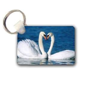  Swans love heart Keychain Key Chain Great Unique Gift Idea 