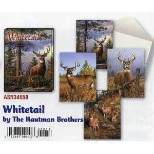  Whitetail Deer by The Hautman Brothers   [ASN34650] Blank 