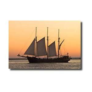 Boat Sails On Lake Ontario Toronto Canada Giclee Print  