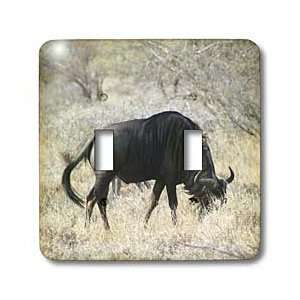   view   Light Switch Covers   double toggle switch