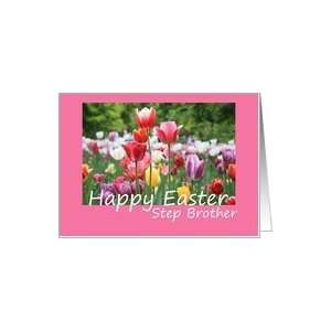  Step Brother Happy Easter   Multicolored Tulips Card Card 