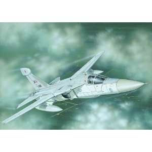    EF 111 A Raven 1 72 Model Airplane by Italeri Toys & Games
