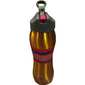    Gaiam Stripes Stainless Steal Water Bottle 