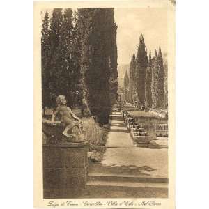   Vintage Postcard The Park at Villa dEste Lake Como Cernobbio Italy