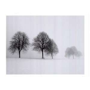  Winter Trees II   Poster by Ilona Wellmann (27.5x19.75 