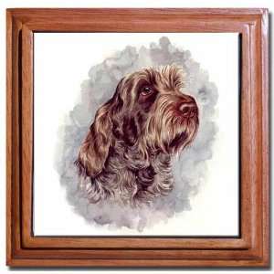  Spinone Italiano Tile Trivet