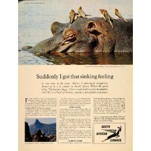   Ad South African Airways Hippopotamus Lions Head   Original Print Ad
