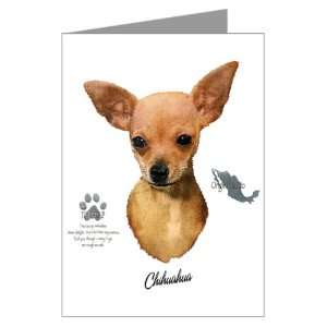    Greeting Card Chihuahua from Toy Group and Mexico 