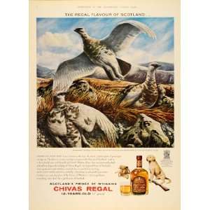  1964 Ad Chivas Regal Barry L. Driscoll Ptarmigan Birds 