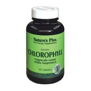  Chlorophyll 100mg   60   Capsule