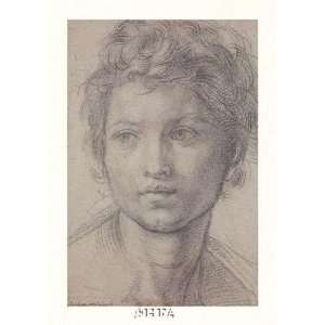   Giovanni Finest LAMINATED Print Andrea Del Sarto 9x13