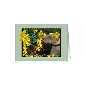  Mothers Day, Sister, Dog Sniffs Daffodils Card Health 