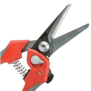  Clauss Stainless Steel Shears Model #18085   8 Inches 