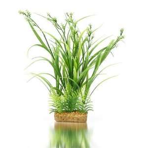  K&A Imports Flowering Hair Grass with Fern, Extra Large 