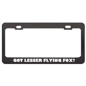 Got Lesser Flying Fox? Animals Pets Black Metal License Plate Frame 