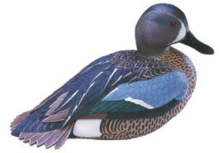 Wading Blue winged Teal Duck Decoy     