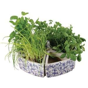 com Esschert Design USA Aged Ceramic Victorian Herb Garden Container 