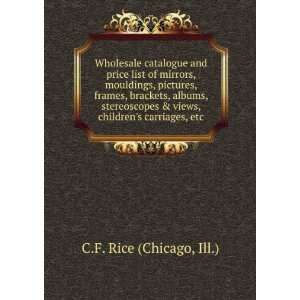   & views, childrens carriages, etc. Ill.) C.F. Rice (Chicago Books