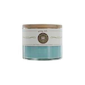  Aromatherapy Candle Soy Essential Blend Candle 12 Oz Burns 