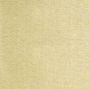  2462 Visage in Vanilla by Pindler Fabric