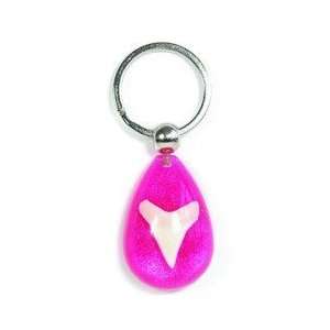   Drop Key Chain Real Shark Tooth with Pink in Acrylic