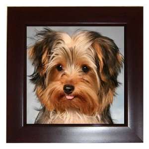  Yorkshire Terrier Puppy Dog 10 Framed Tile G0656 