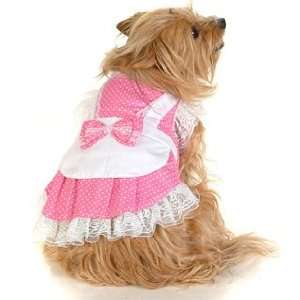   polka dot French lace Princess Apron dog dress XS 
