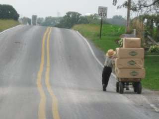 Amish Made Valley Road Speeder, Radio Flyer style, Childrens Kids Red 
