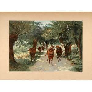  1896 Print Landscape Cattle Cows Felix de Vuillefroy 