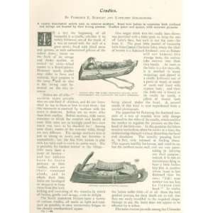  1898 Baby Cradles illustrated 