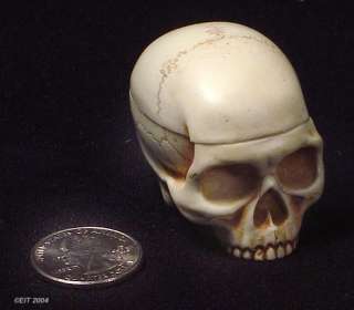 name medieval style skull box location cornwall england