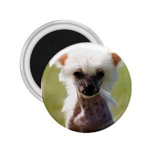  Chinese Crested Refrigerator Magnet