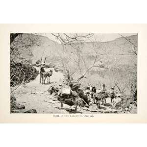 1899 Print Trail Barancas Donkey Mexico Cuernavaca Travel Burro 