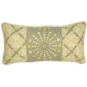  Burst Sterling Throw Pillow by Hoohobbers