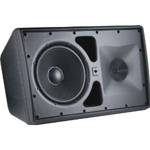  JBL Control 30 Three Way Indoor/Outdoor Speaker Black 