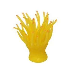  Anemone Coral Yellow   size 3 x 3 x 4