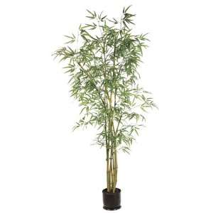 Pack of 2 Decorative Thin Bamboo Trees with Round Pots 6  