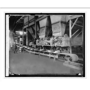 Historic Print (M) Sacking machines, Portland Cemet Co., Mason City 