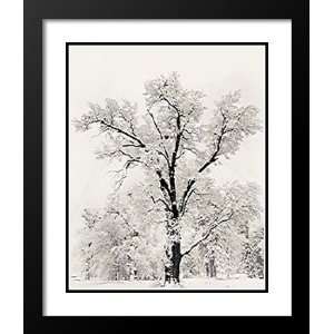  Ansel Adams Framed and Double Matted Art 33x45 Oak Tree 