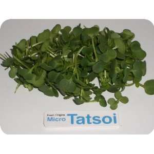Micro Greens   Tatsoi   4 x 4 oz  Grocery & Gourmet Food