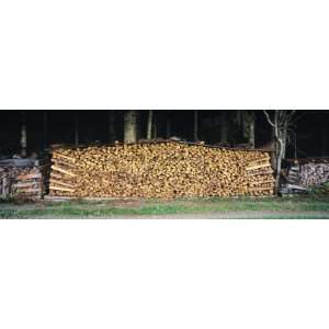  Stack of Wooden Logs in a Forest, Black Forest, Baden 