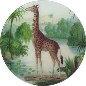  John Derian Round Plate   Giraffe