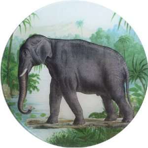  John Derian Round Plate   Elephant
