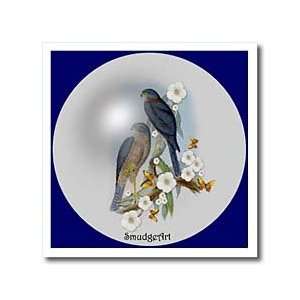  Collared Sparrow Hawk   10x10 Iron On Heat Transfer For 