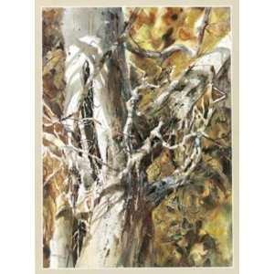  Silver Beech (Canv)    Print